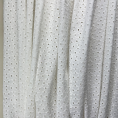Off-white broderie anglaise fabric coupon with openwork pattern 1m50 or 3m x 1,40m